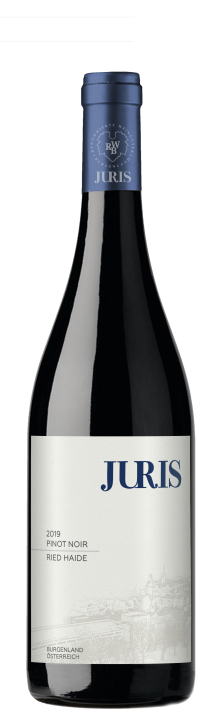 Pinot noir 2019 HAIDE (3,0l)