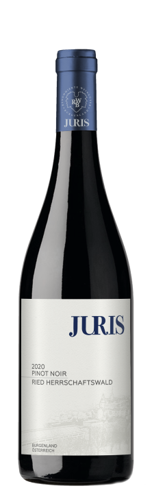 Pinot noir 2020 HERRSCHAFTSWALD - 1000 BEEREN (0,75l)